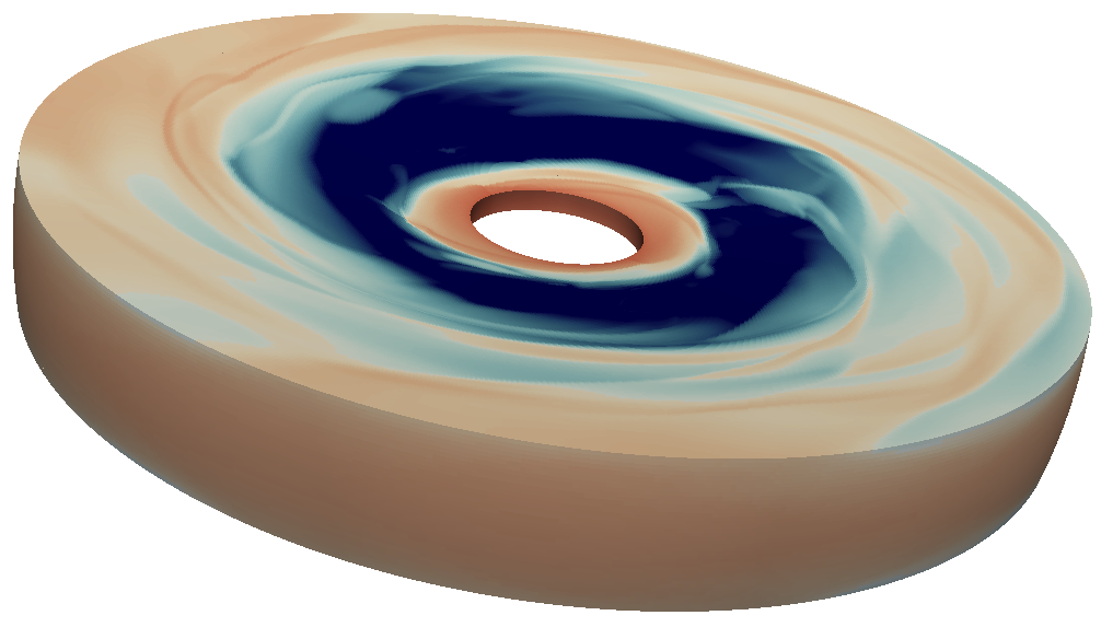 Circumstellar disk